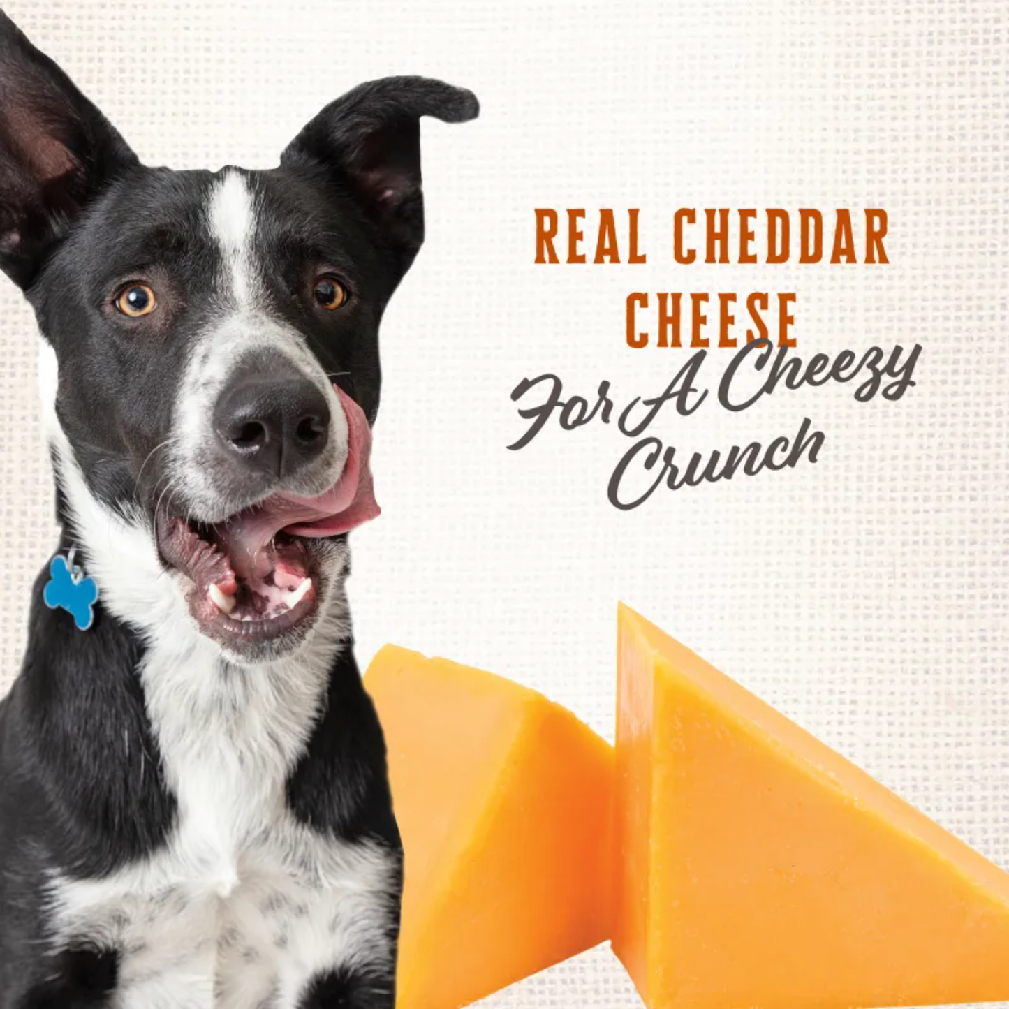 Wholesomes Gourmet Rewards Cheezy Bites Dog Treats | Crunchy Cheddar Biscuits, USA Made