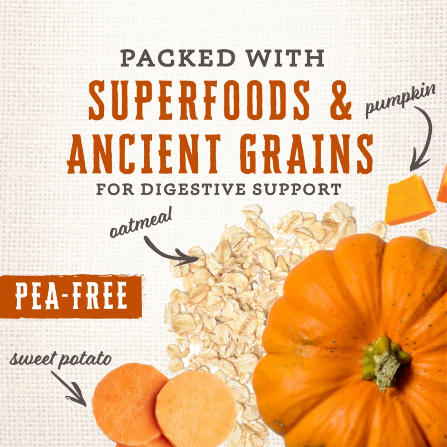 Wholesomes Gourmet Rewards Cheezy Bites Dog Treats | Crunchy Cheddar Biscuits, USA Made