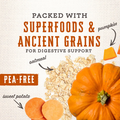 Wholesomes Gourmet Rewards Cheezy Bites Dog Treats | Crunchy Cheddar Biscuits, USA Made