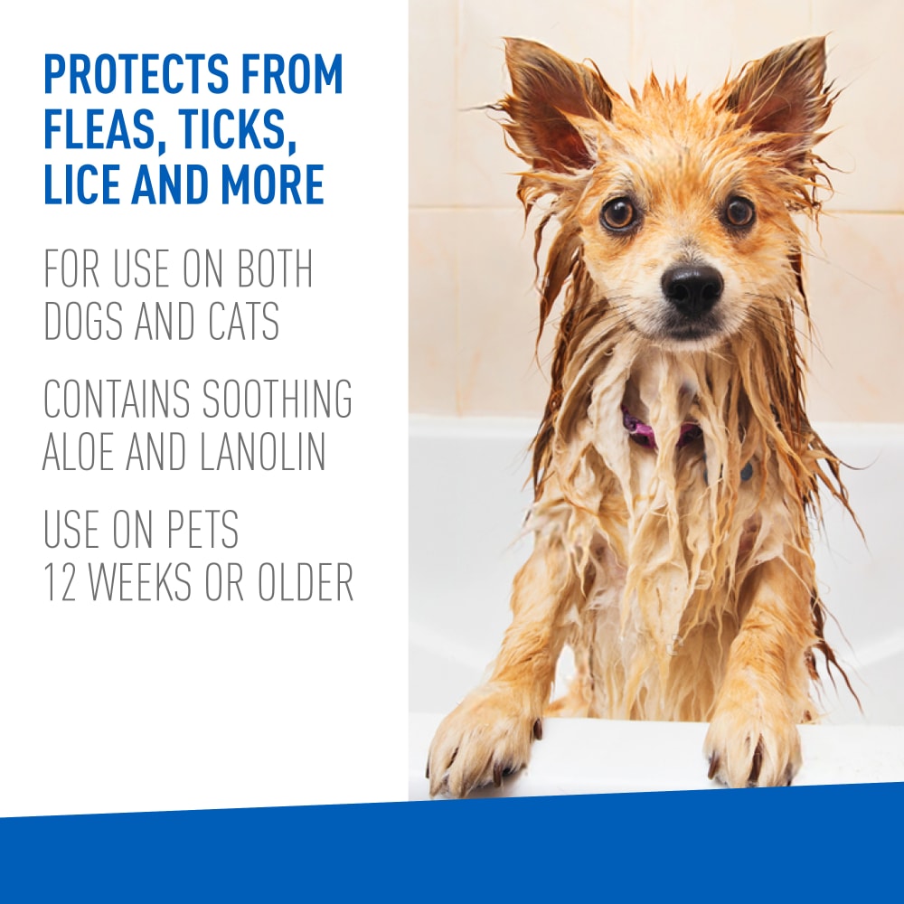 Adams Plus Flea & Tick Pyrethrin Dip for Dogs & Cats | Kills Fleas, Ticks & Lice | 4 oz