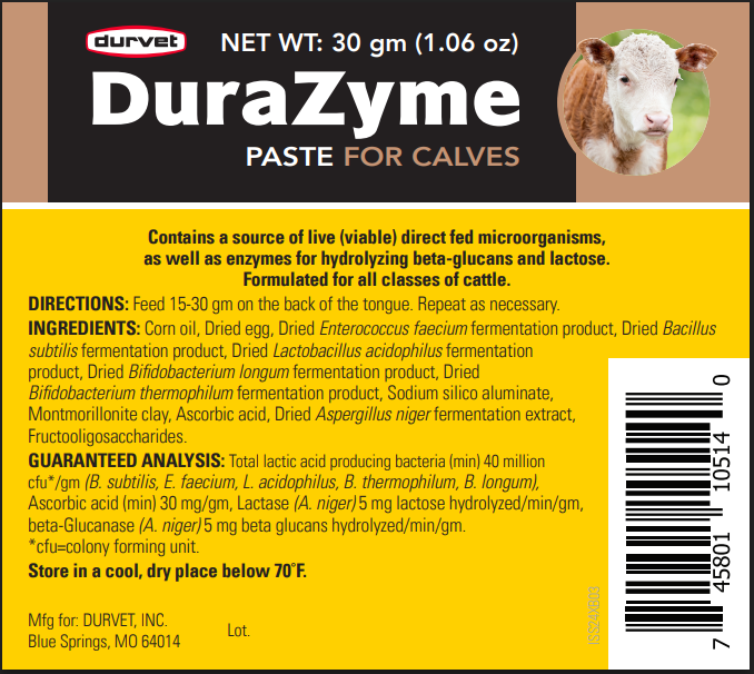 Durvet DuraZyme Paste for Calves | Probiotic Digestive Support
