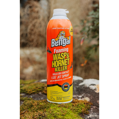 Bengal Foaming Wasp & Hornet Killer Spray 16 oz | 25 Ft Jet Foam