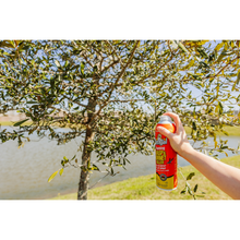 Bengal Foaming Wasp & Hornet Killer Spray 16 oz | 25 Ft Jet Foam
