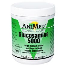 AniMed Glucosamine 5000 Powder | Joint & Connective Tissue Support for Horses