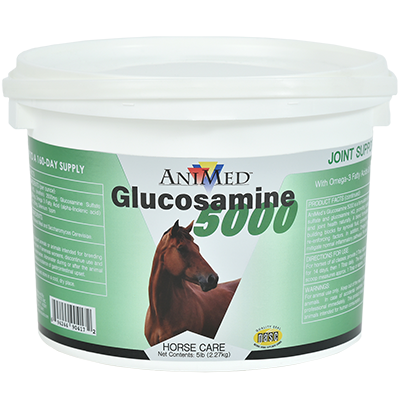AniMed Glucosamine 5000 Powder | Joint & Connective Tissue Support for Horses