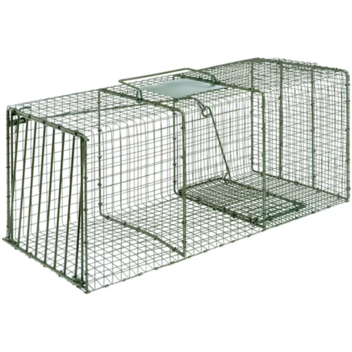 Duke Heavy-Duty Steel Live Cage Trap
