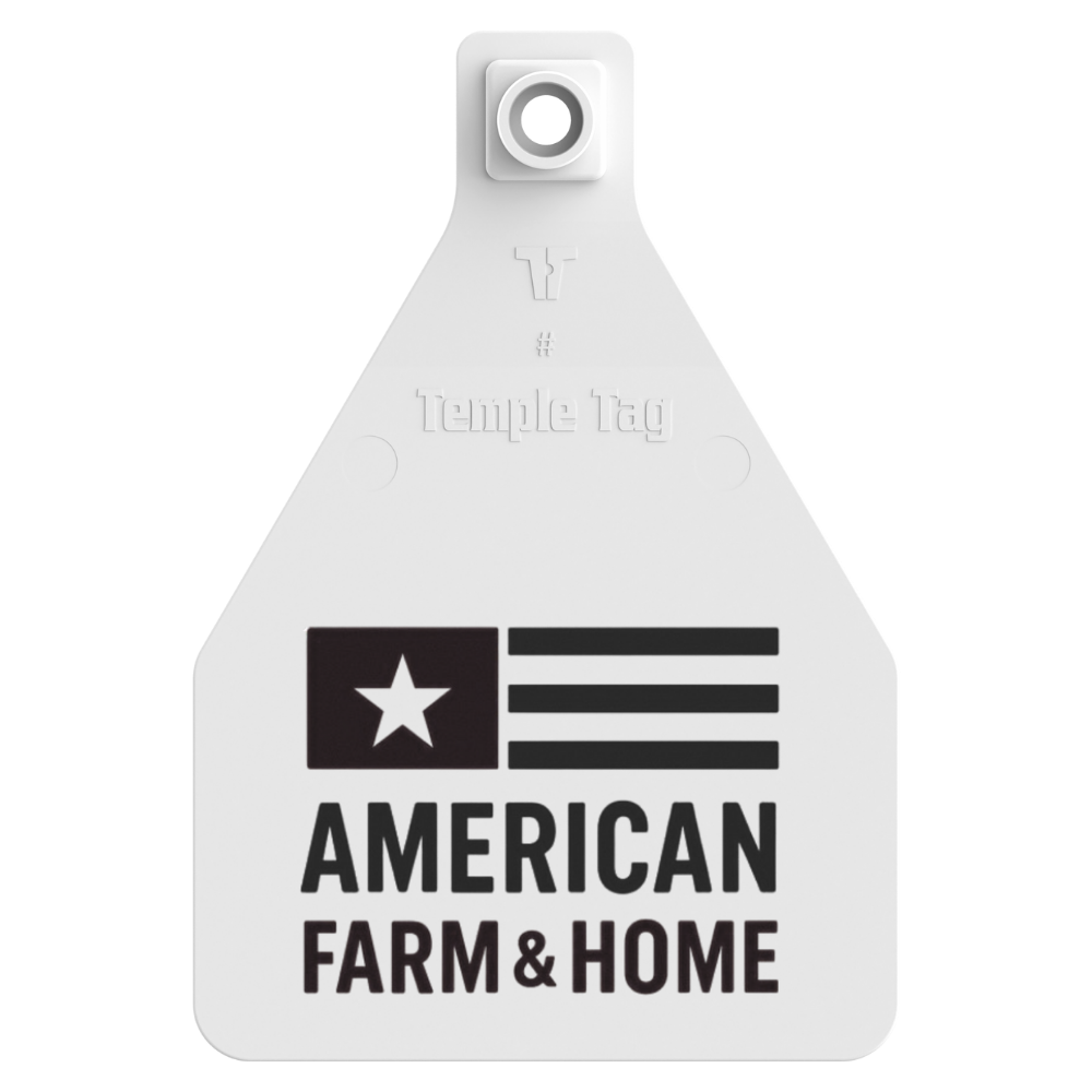 Temple (Z Tags) Herdsman Two-Piece Cow ID Ear Tag | Custom Print
