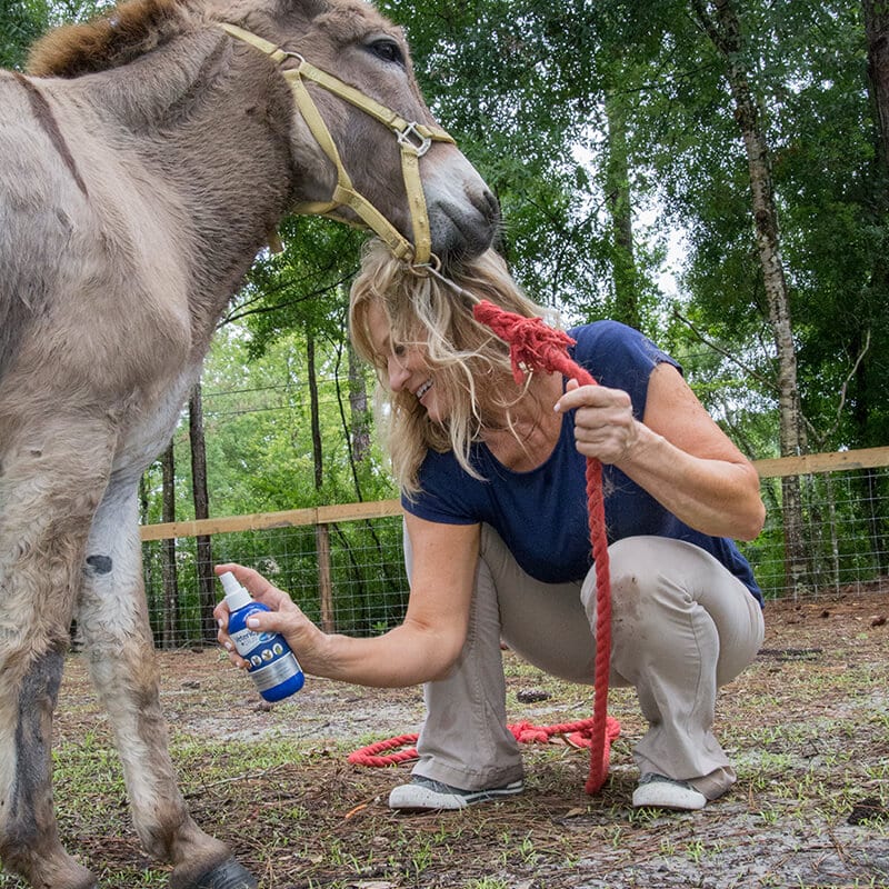 Vetericyn Plus Antimicrobial Hydrogel | Soothing Wound Protection for All Animals