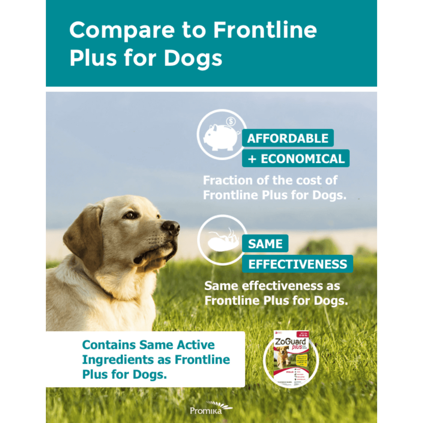 ZoGuard Plus for Dogs Flea & Tick Treatment | Waterproof Topical Application