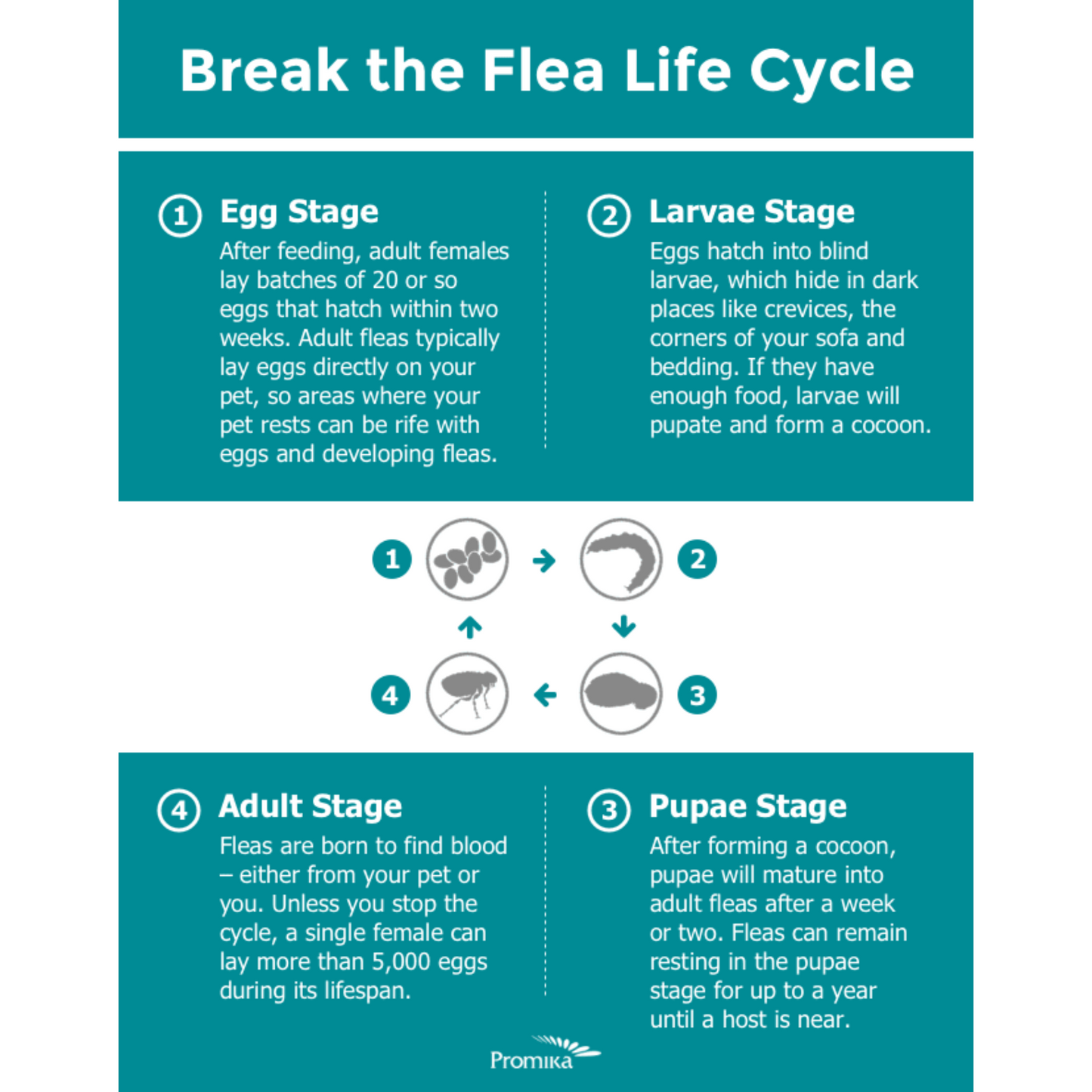 ZoGuard Plus for Dogs Flea & Tick Treatment | Waterproof Topical Application