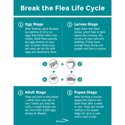 ZoGuard Plus for Dogs Flea & Tick Treatment | Waterproof Topical Application