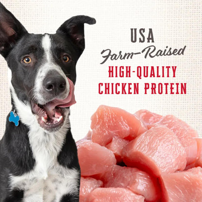 Wholesomes Rewards Jumbo Original | Oven-Baked Crunchy Dog Biscuits with Chicken & Grains | 20 lb.