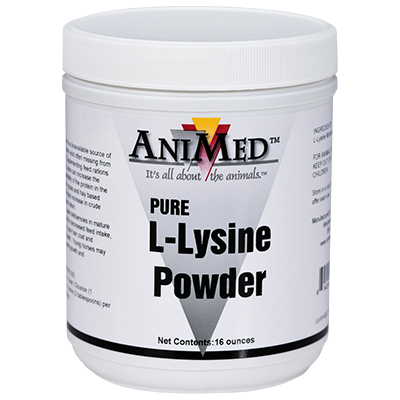 Animed Pure L-Lysine Powder | Supports Growth, Hooves & Coat Health in Horses | 16 oz.