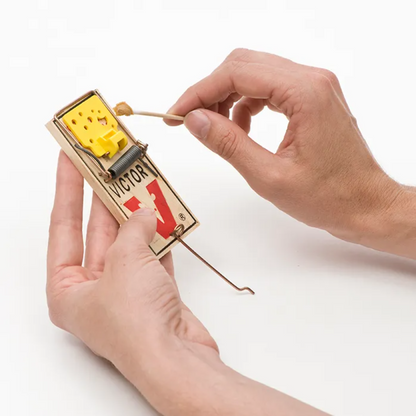 Victor Wide Pedal Mouse Trap | 2 Pack, Easy-Set Snap Trap