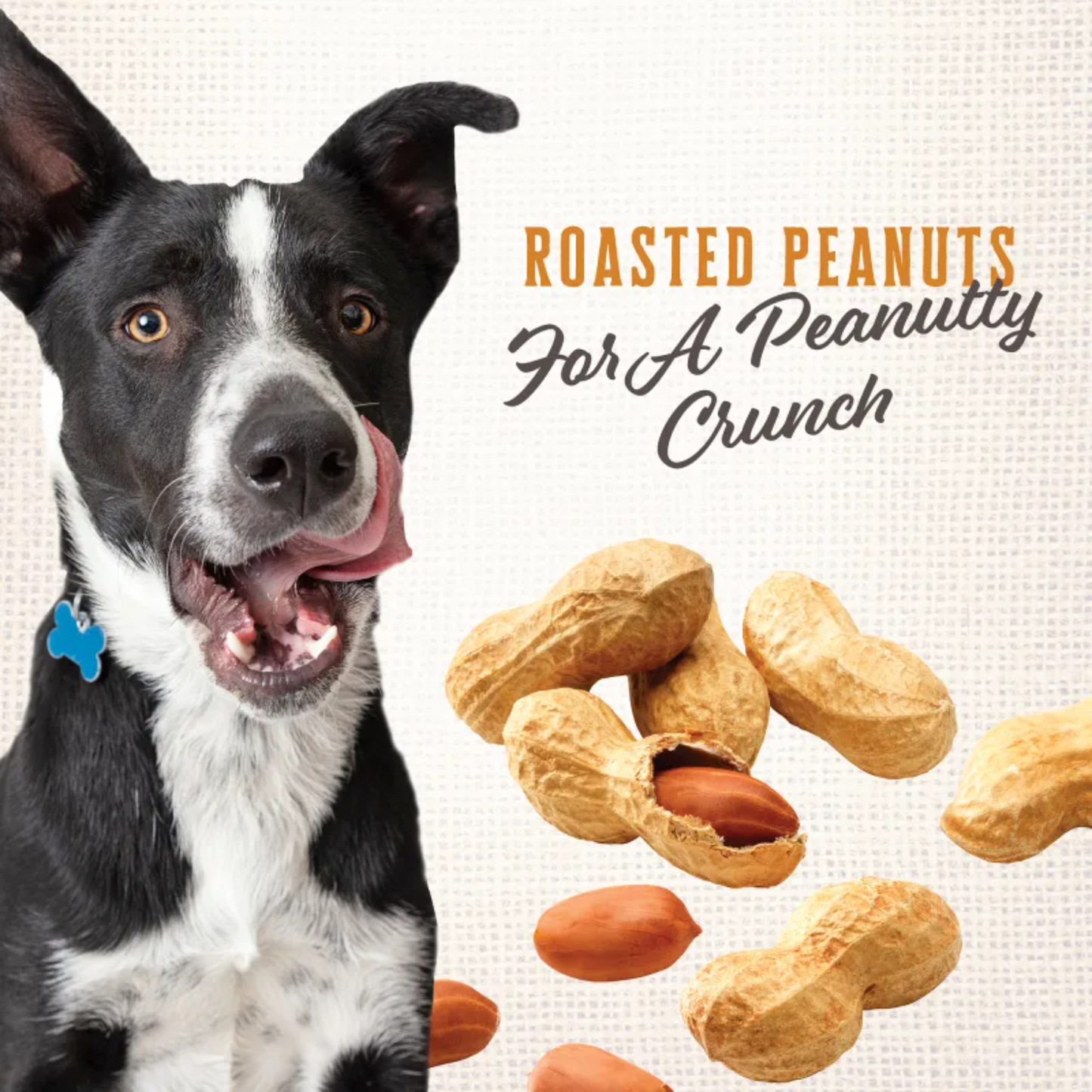 Wholesomes Nut’R’Nipz Dog Treats | Crunchy Peanut Biscuit Rewards, USA Made