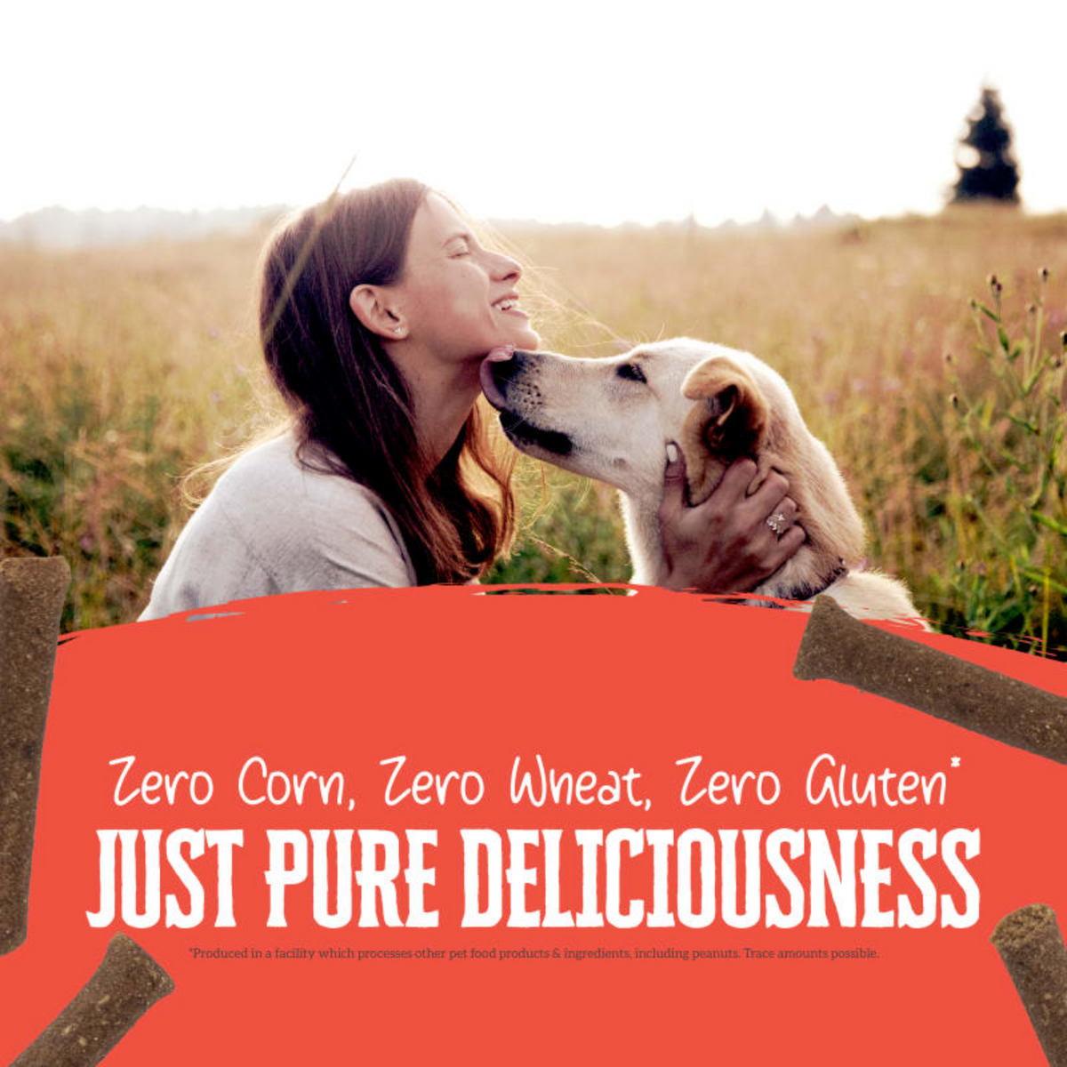Wholesomes Rewards Chewy Beef Sticks | Grain-Free Dog Training Treats | 25 oz.
