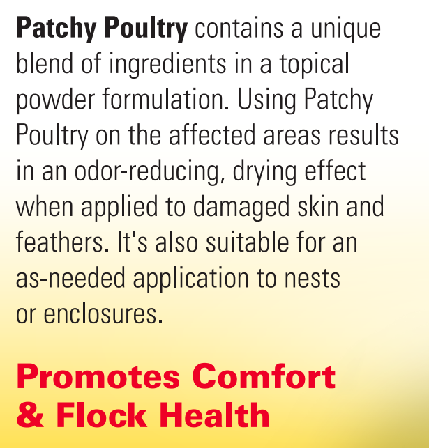 Durvet Patchy Poultry | Topical Powder | 2.75 oz