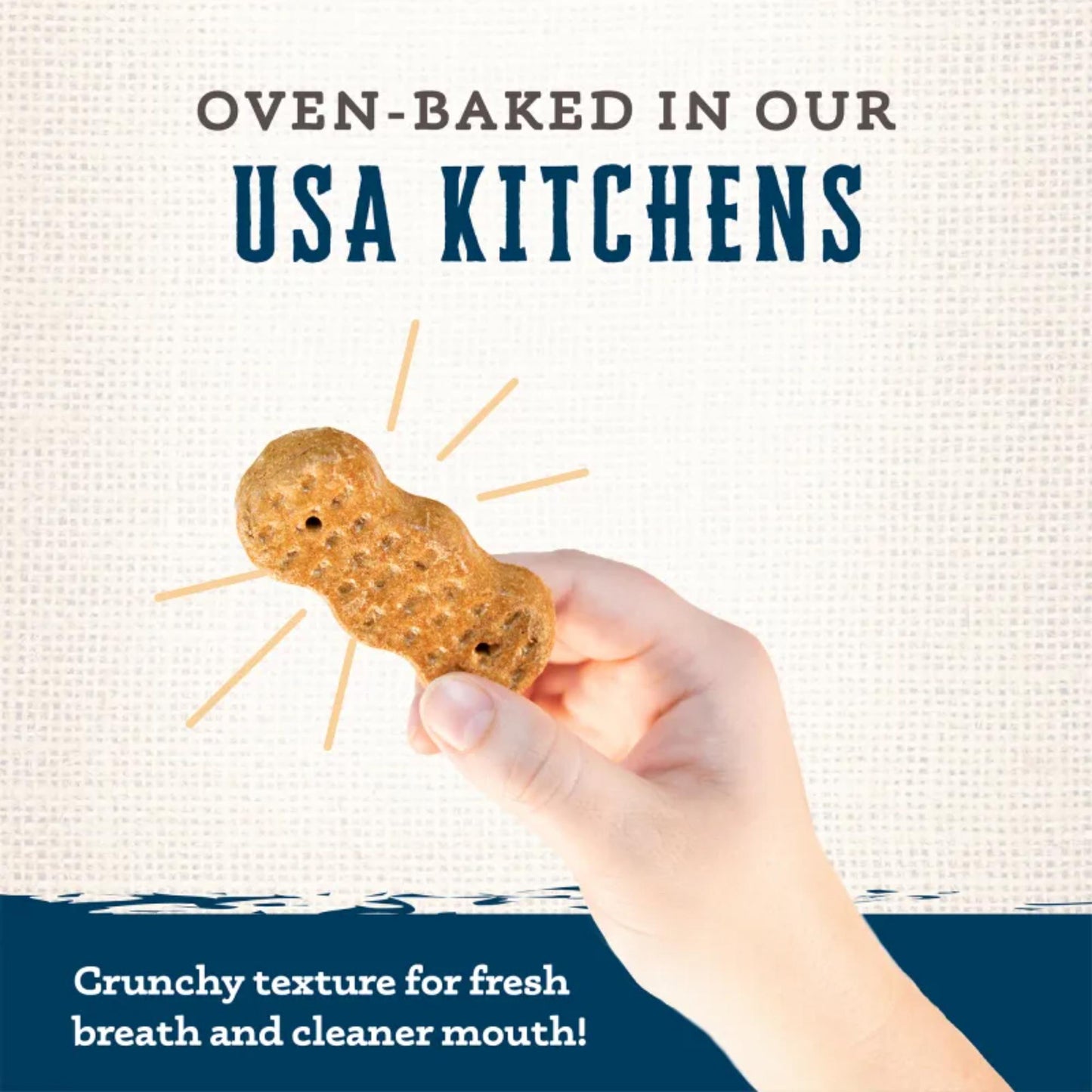 Wholesomes Gourmet Rewards Peanutty Bites | Crunchy Peanut Dog Treat Biscuits | 20 lb.