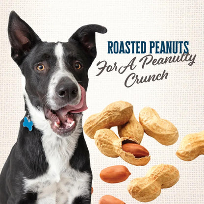 Wholesomes Gourmet Rewards Peanutty Bites | Crunchy Peanut Dog Treat Biscuits | 20 lb.