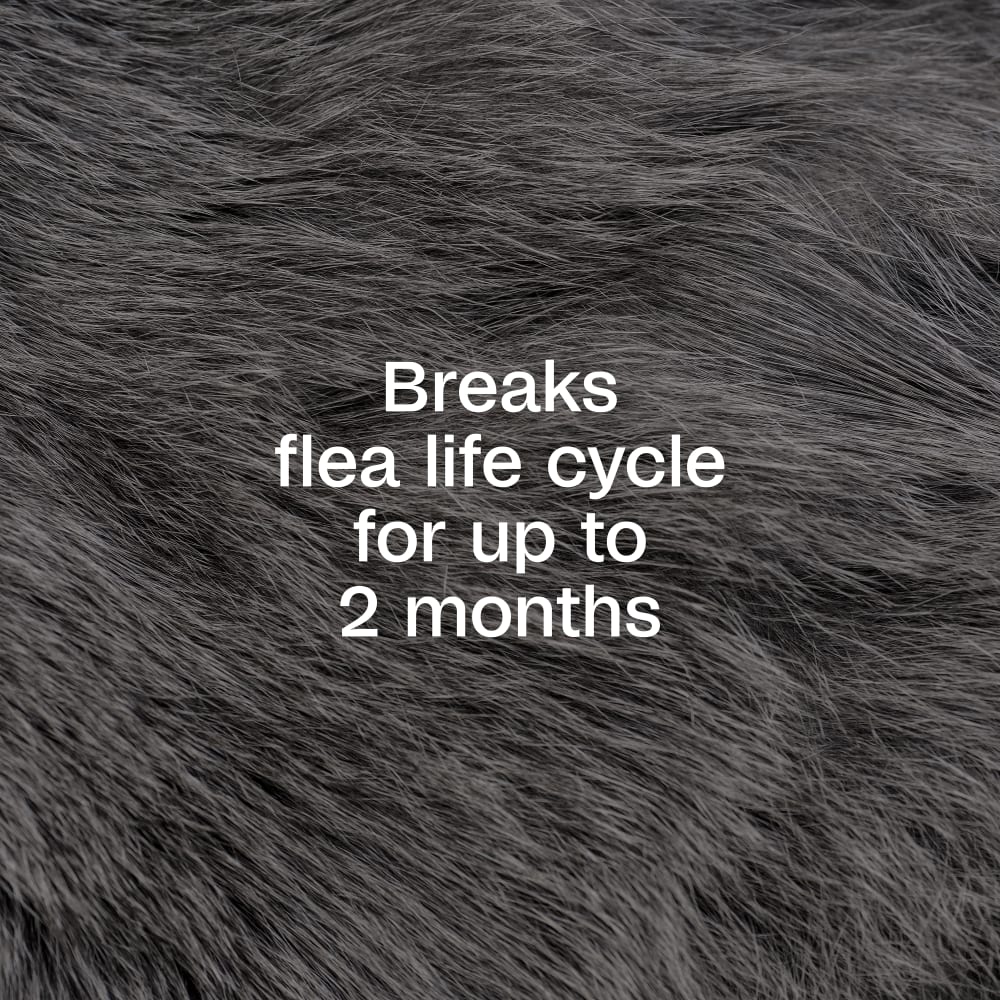 Adams Plus Flea & Tick Spray for Dogs & Cats | Kills Fleas, Ticks, Mosquitos & Eggs