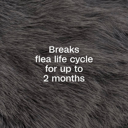 Adams Plus Flea & Tick Spray for Dogs & Cats | Kills Fleas, Ticks, Mosquitos & Eggs