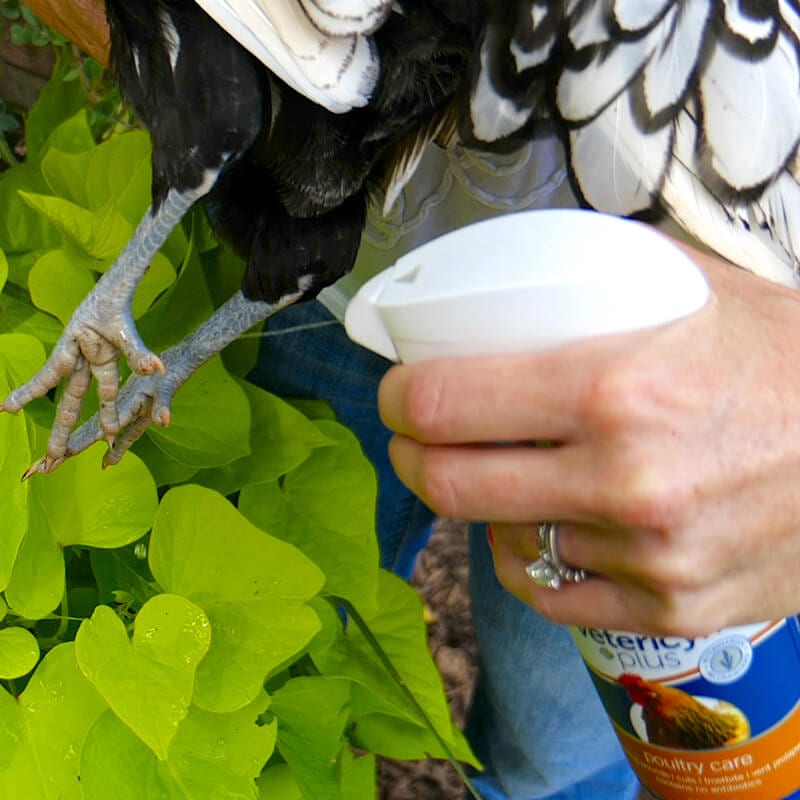 Vetericyn Plus Poultry Care Spray | Wound & Pecking Sore Treatment for Chickens | 8 oz.