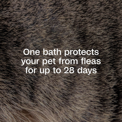 Adams Plus Flea & Tick Shampoo with Precor IGR for Dogs & Cats | Flea Control | 12 oz