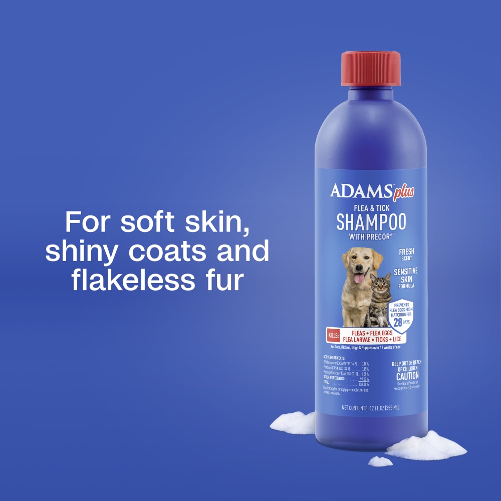 Adams Plus Flea & Tick Shampoo with Precor IGR for Dogs & Cats | Flea Control | 12 oz
