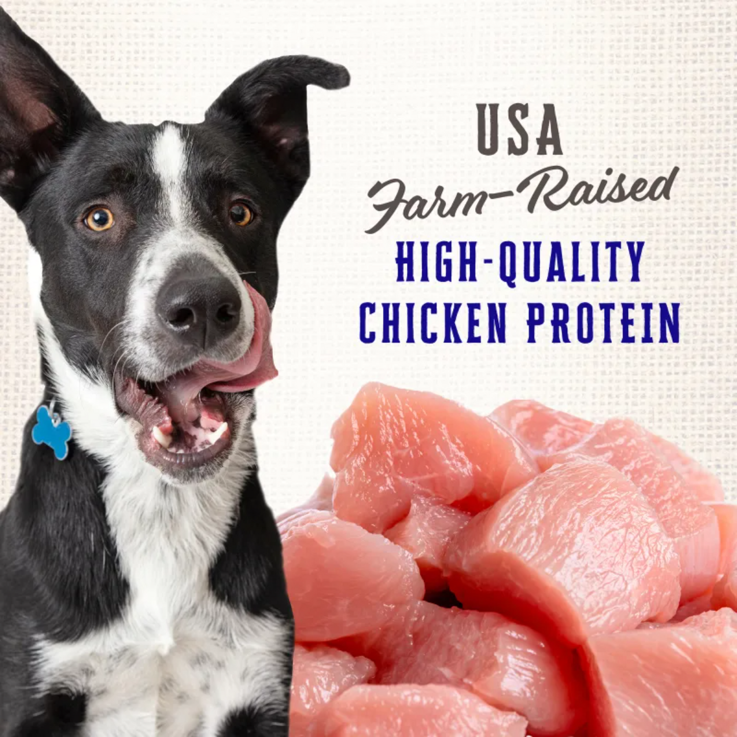 Wholesomes Rewards Puppy Variety Treat Biscuits | Crunchy Training Treats, USA Made