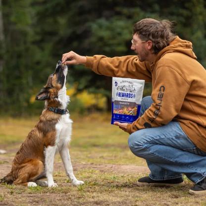 Wholesomes Rewards Puppy Variety Treat Biscuits | Crunchy Training Treats, USA Made