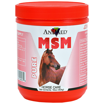 AniMed Pure MSM Powder | Connective Tissue & Joint Support for Horses