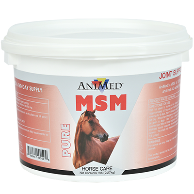 AniMed Pure MSM Powder | Connective Tissue & Joint Support for Horses