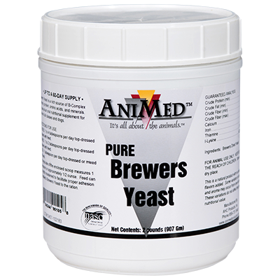 AniMed Pure Brewers Yeast Powder | B-Complex, Protein & Amino Acids for Horses | 2 lb.