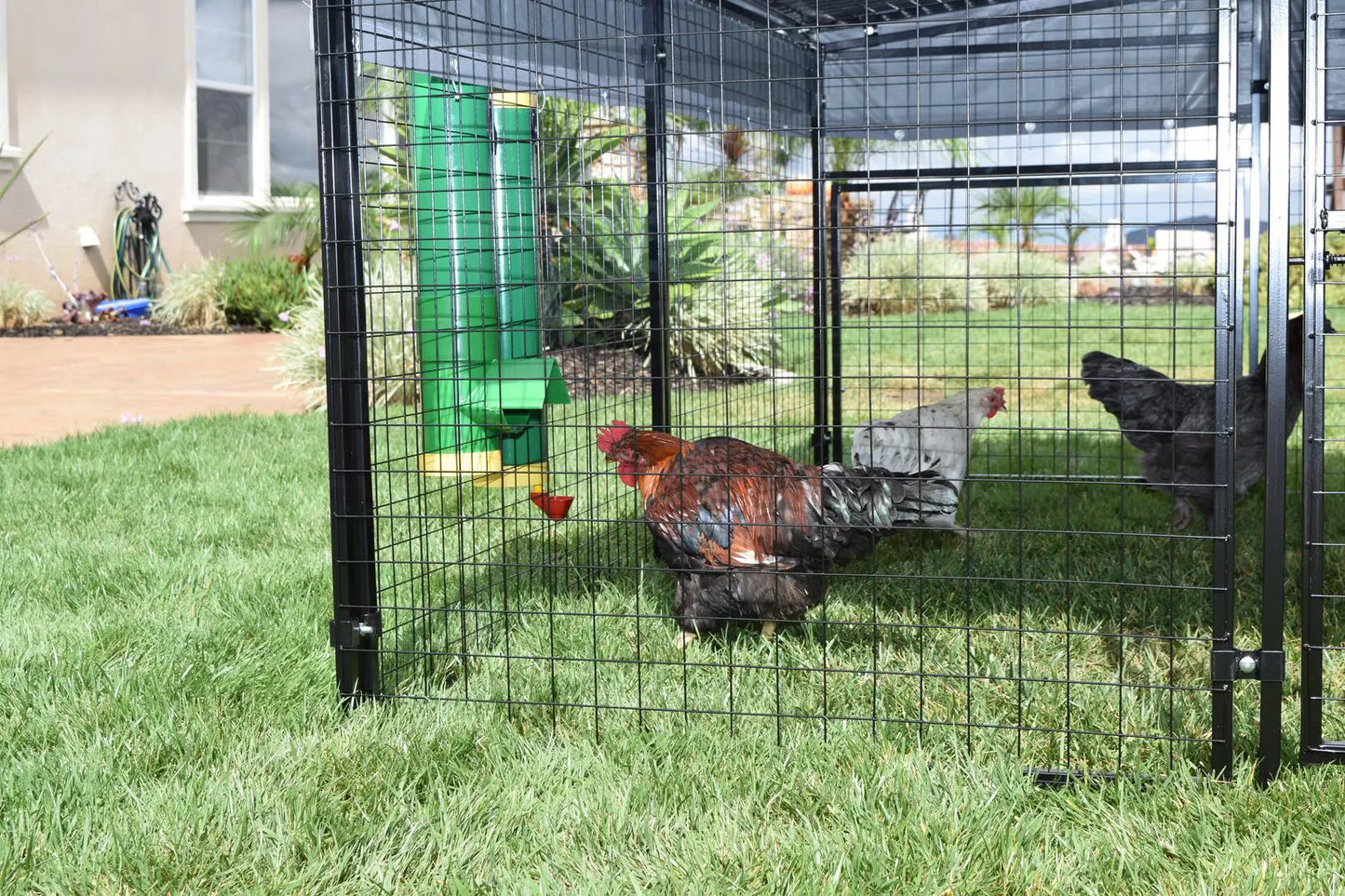 Rugged Ranch High-End Hen Poultry Waterer | 2 Gallon Chicken Waterer