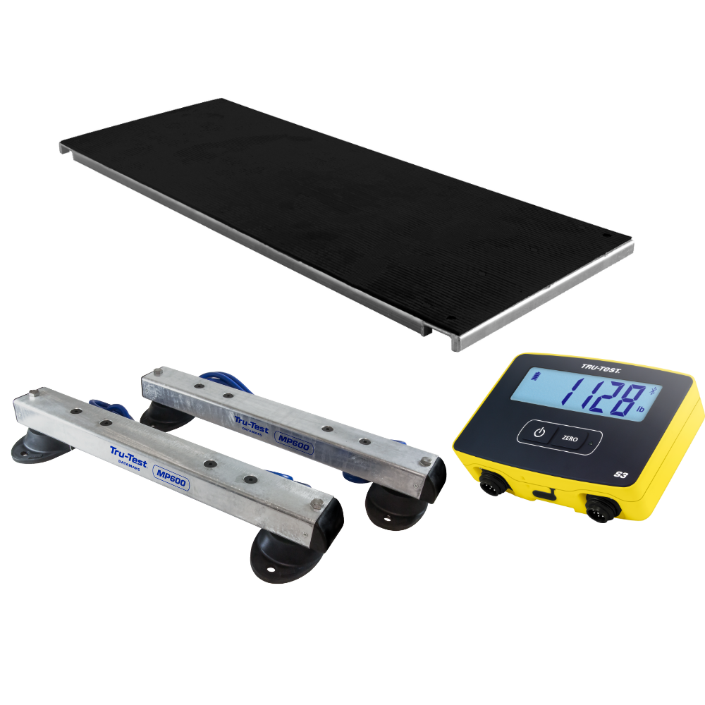 alleyway weighing platform with load bars and digital indicator