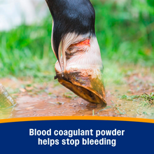 Farnam Wonder Dust Wound Powder & Blood Stop for Livestock & Horses