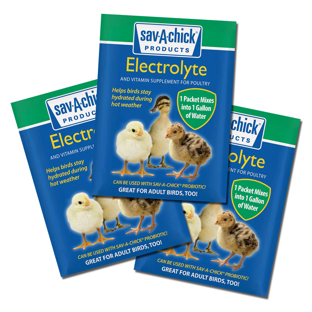 Sav-A-Chick Electrolyte & Vitamin Supplement | Poultry Hydration & Stress Support | 3 Pack