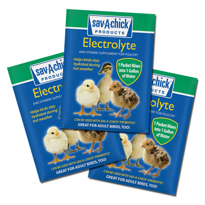 Sav-A-Chick Electrolyte & Vitamin Supplement | Poultry Hydration & Stress Support | 3 Pack