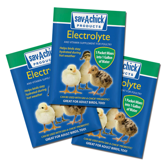 Sav-A-Chick Electrolyte & Vitamin Supplement | Poultry Hydration & Stress Support | 3 Pack