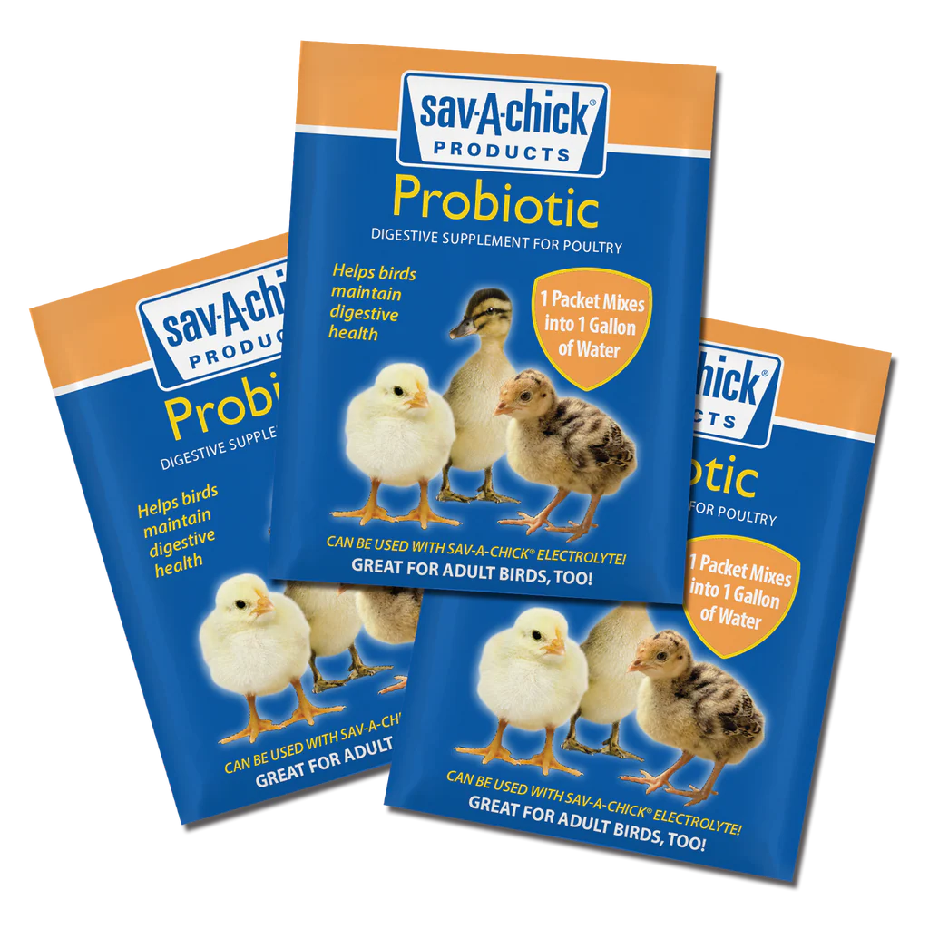 Sav-A-Chick Probiotic Supplement | Poultry Digestive Health & Stress Support | 3 Pack