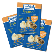 Sav-A-Chick Probiotic Supplement | Poultry Digestive Health & Stress Support | 3 Pack