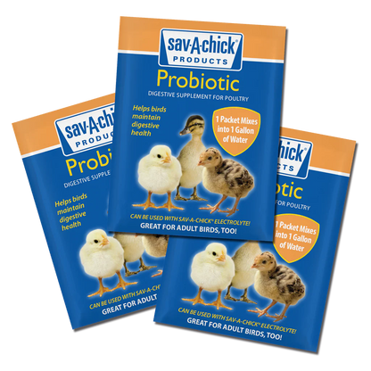 Sav-A-Chick Probiotic Supplement | Poultry Digestive Health & Stress Support | 3 Pack