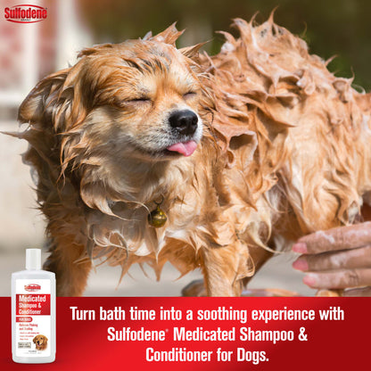 Sulfodene Medicated Dog Shampoo & Conditioner | Relieves Itching & Flaking | 12 oz