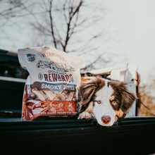 Wholesomes Gourmet Rewards Smoky Bites | Crunchy Bacon Dog Treats