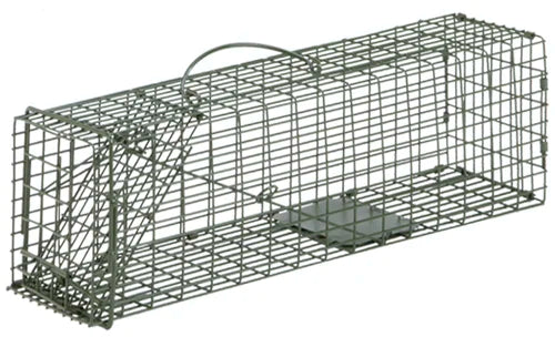 Duke Standard Live Cage Trap | Single Door | Humane Steel Trap For Rodents, Small Squirrels, and Chipmunks.