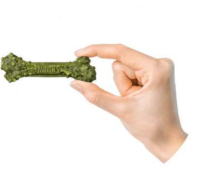 Minties Dental Treats for Dogs – Medium, 20 Treats (16 oz)