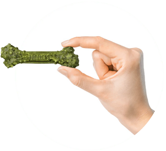 Minties Dental Treats for Dogs – Medium, 20 Treats (16 oz)