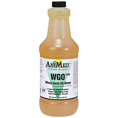 Animed WGO Wheat Germ Oil Blend Liquid | Supports Energy & Coat Health in Horses | 1 Qt